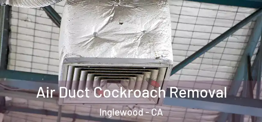 Air Duct Cockroach Removal Inglewood - CA