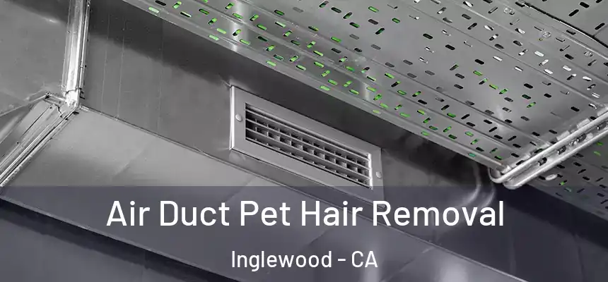 Air Duct Pet Hair Removal Inglewood - CA