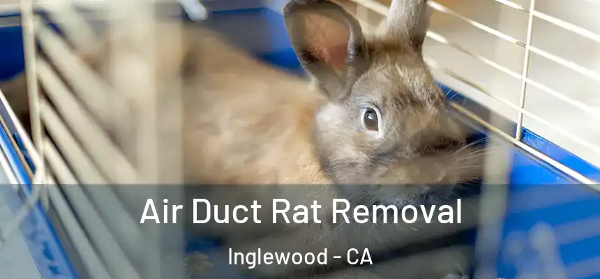 Air Duct Rat Removal Inglewood - CA