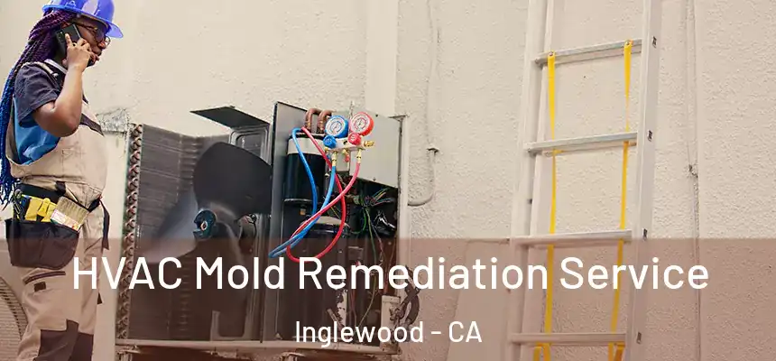HVAC Mold Remediation Service Inglewood - CA