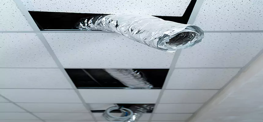 Affordable HVAC Sanitizing After Pest Removal in Inglewood