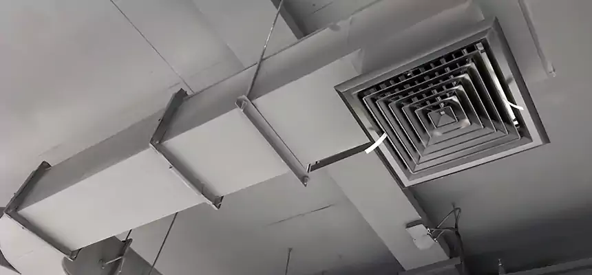 Restorative Allergy Relief Vent Cleaning – Coil, Blower & Housing Detail in Inglewood