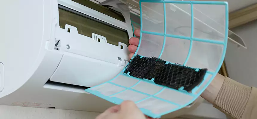 Gentle Ductwork Odor-Control Pet Dander Duct Cleaning in Inglewood, CA