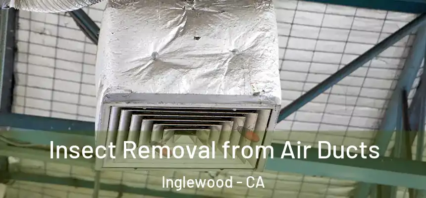 Insect Removal from Air Ducts Inglewood - CA