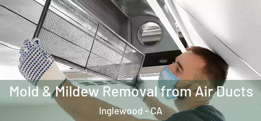Mold & Mildew Removal from Air Ducts Inglewood - CA