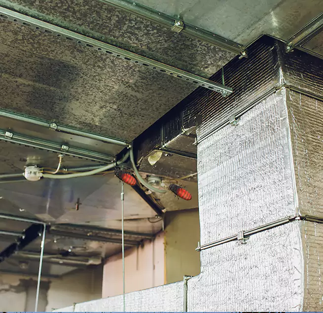 Why Homeowners & Businesses Trust Us in Inglewood, CA?