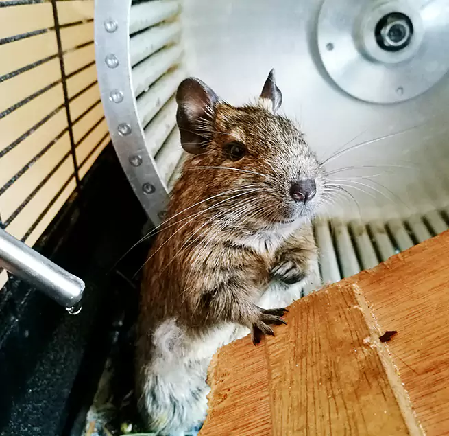 Why Homeowners & Businesses Trust Us Inglewood, CA