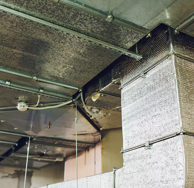 Why Homeowners & Businesses Trust Us in Inglewood, CA?